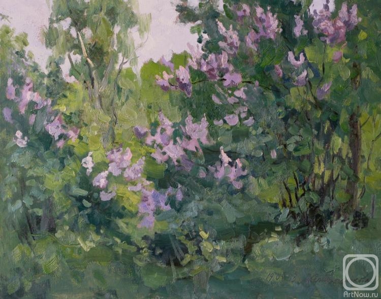 Serebrennikova Larisa. In the thickets of lilacs