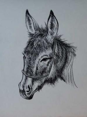 606 Donkey's Head (). Lukaneva Larissa