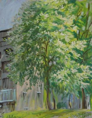 Painting The cherry tree in the yard. Dobrovolskaya Gayane