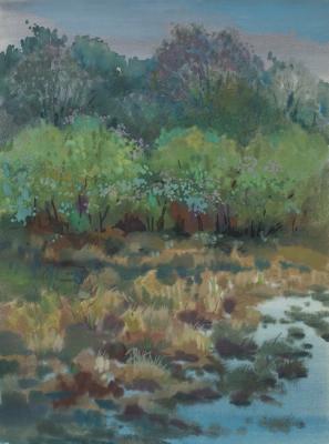 �����. ����� ����. ����� ��������