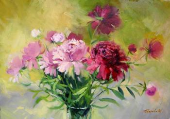 ������� ���������� ��������