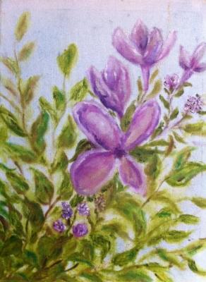 ������� ���� ���������