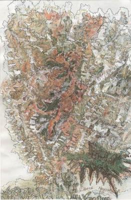 ���� �������. ������ ����