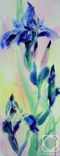 �������. ������ �����. �����