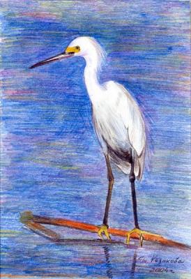 ����� �����. �������� �������