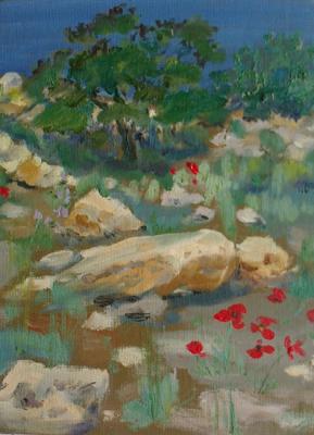 ������� ��������� ����