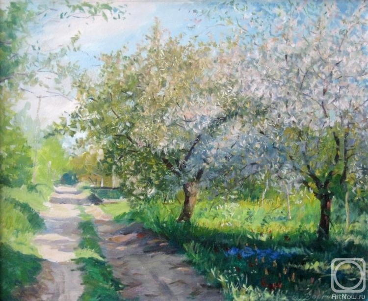 ������� ������ �� ������. ������� ��������. �������� �����