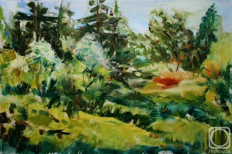 ������� ������ �� ������. �������� �����. ������� ��� ��������