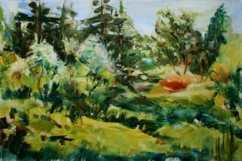 ������� ���� ���������