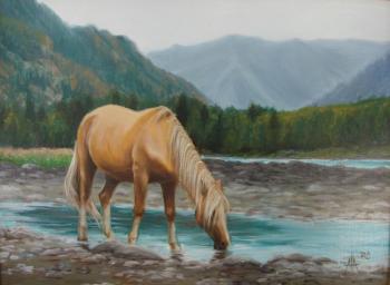 ������� ��� �������...�