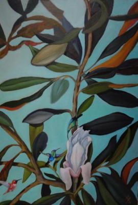 Magnolia and humming-bird