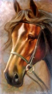 Horse. Braginsky Robert