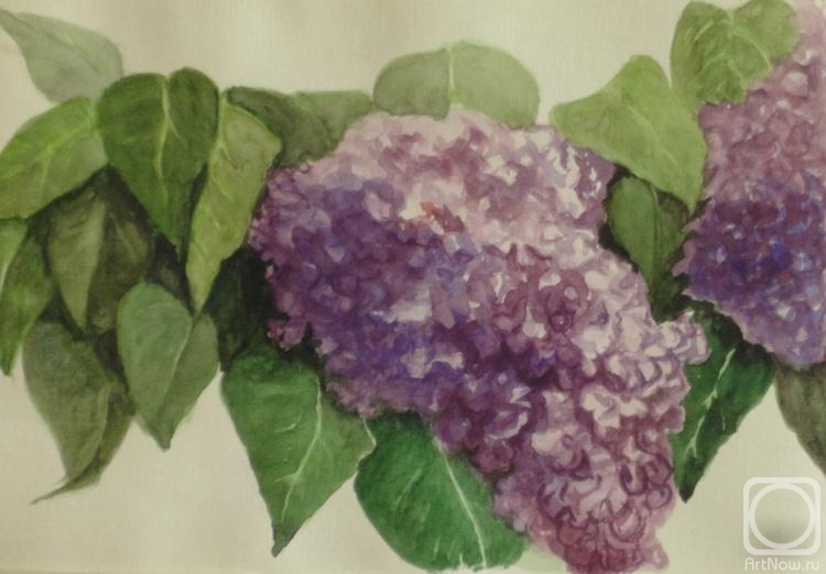 �������. ���������� �����. ������