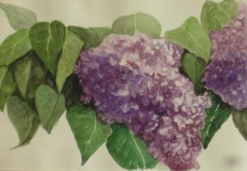 ������� ��������