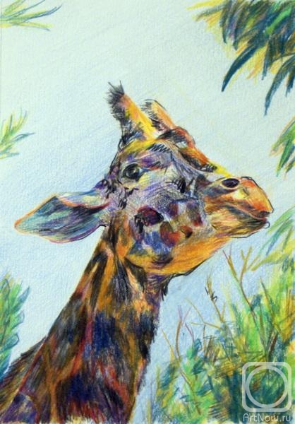 �������. �������� �������. ����� �����������