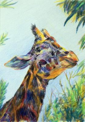 Giraffe dlinnosheyka