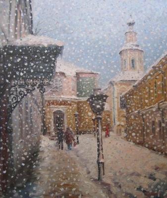 March snowfall. Rodionov Igor