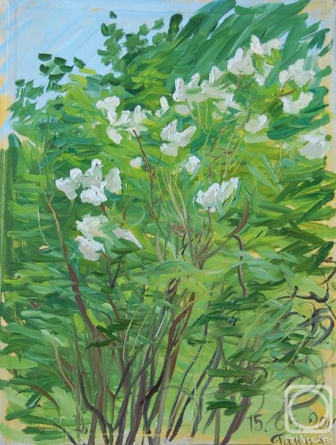 Dobrovolskaya Gayane. The bush of white lilac