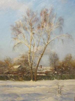 Winter motif. Egorkin Vladimir