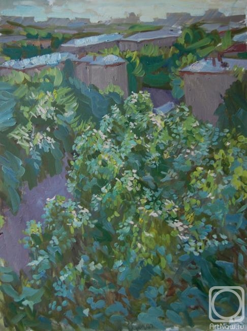 �������. ������������� �����. ������ ��� ���� ��������