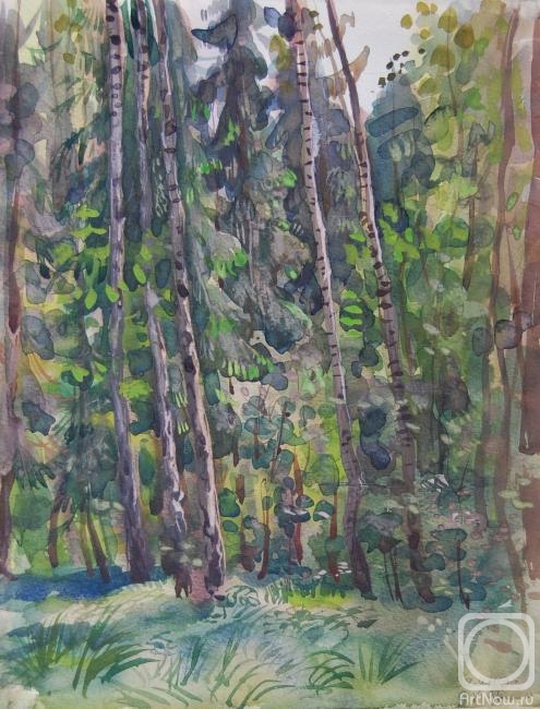 Dobrovolskaya Gayane. Forest, June, Summer