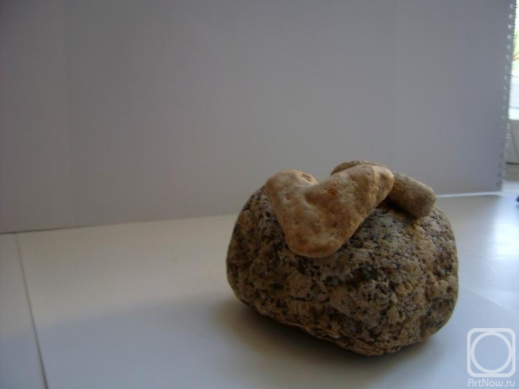 ������ ����. ���� ���� �����