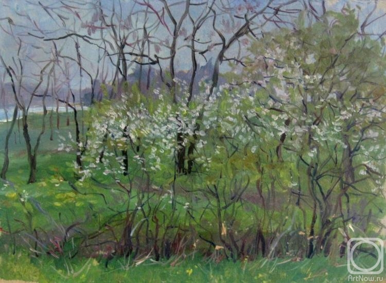 �������. ������� ��������. ������ ����� (����)