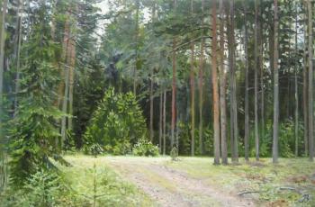 In a wood 1 (Fur-Trees). Vankhonen Alexey