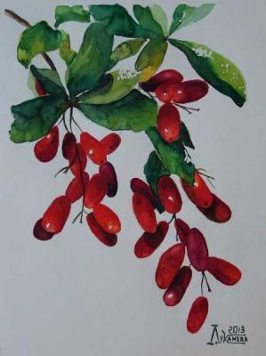 ��������. �������� ������