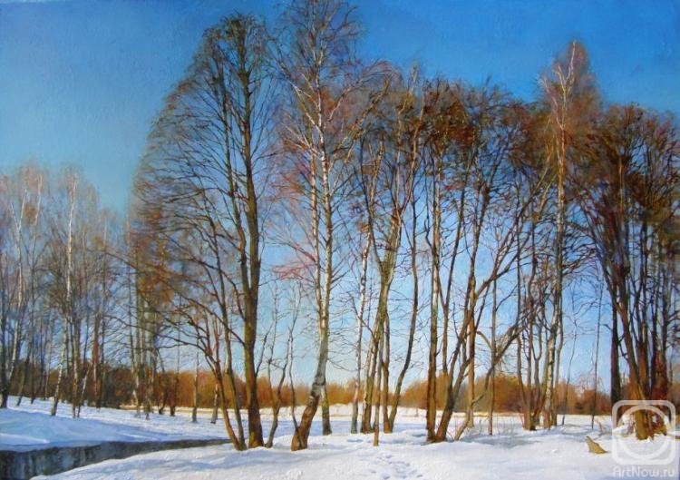 Egorov Viktor. winter park in Peterhof