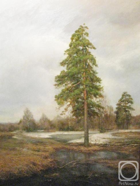 ������� ������ �� ������. ������� ��������. �����