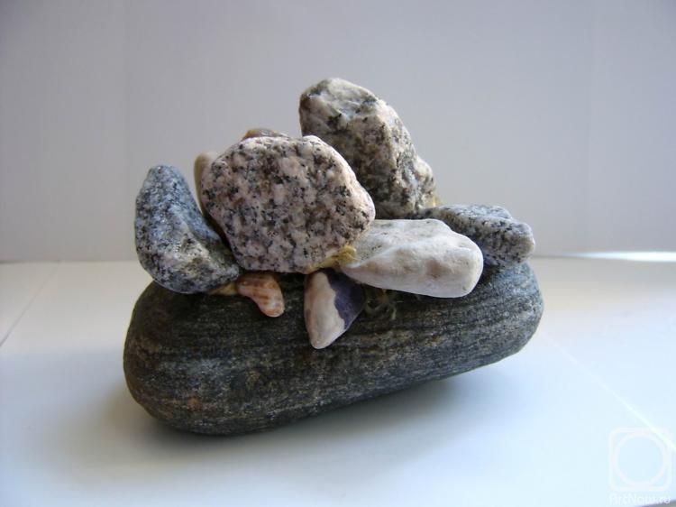 ������ ����. ��� ������