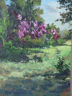 ������� ��������� ������ (����)�