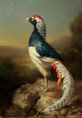 Pheasant. Sevryukov Dmitry