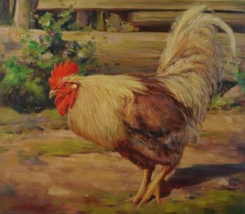 ������� ����������