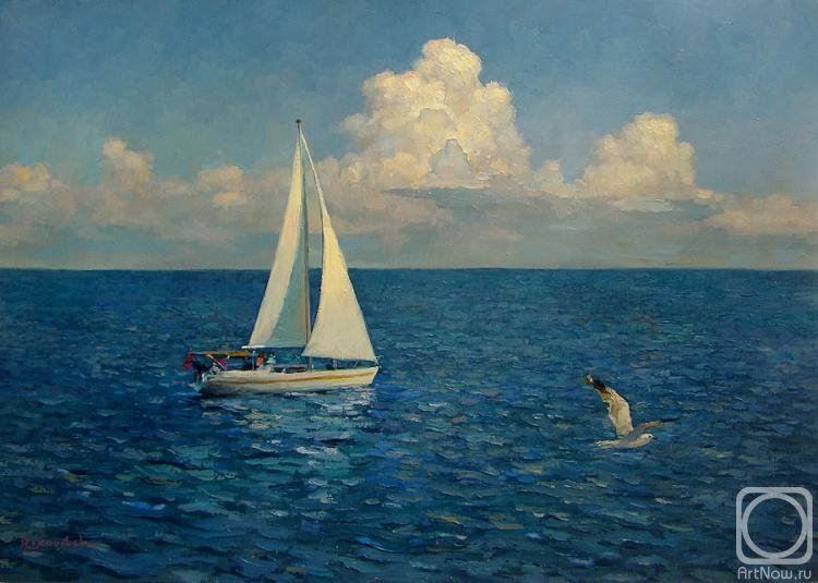 Volkov Sergey. In the high sea competing in speed