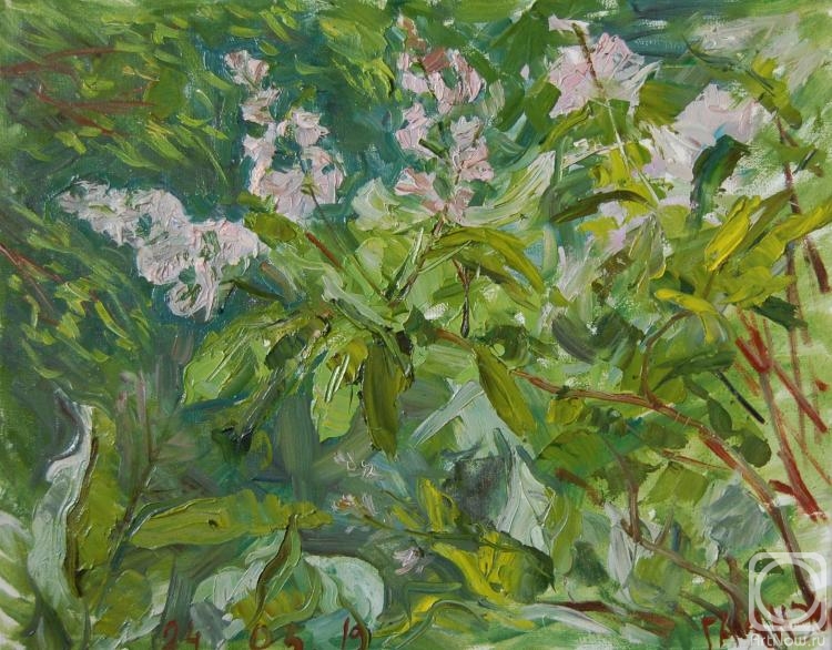 ������� ������ �� ������. ������������� �����. ���������� ������