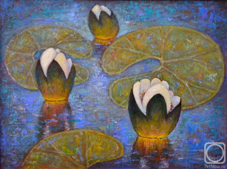 Yanin Alexander. Water lilies