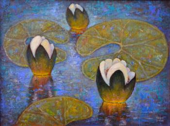 Water lilies. Yanin Alexander