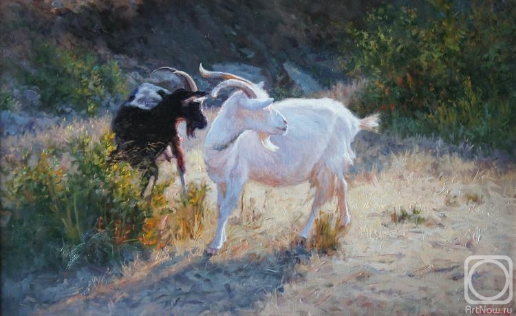 ������� ������ �� ������. ���������� ���������. ����