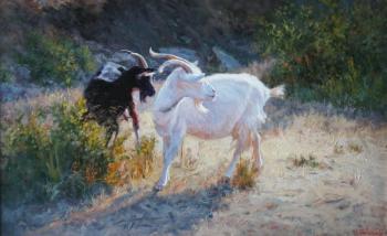 ������� ������