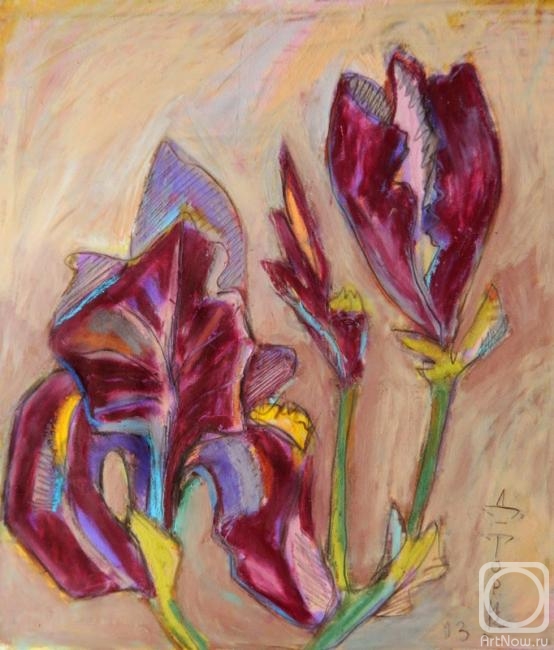 Torik-Hurmatova Dilara. Purple iris