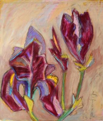 Purple iris. Torik-Hurmatova Dilara