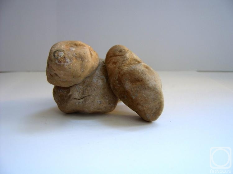 ������ ����. ������� � ��������