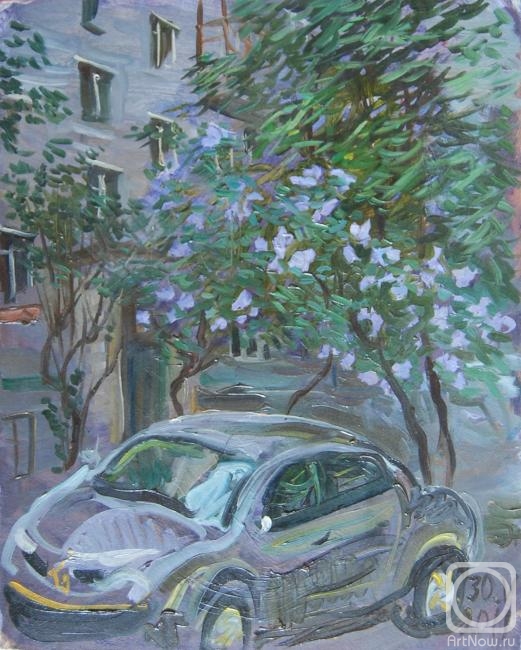 Dobrovolskaya Gayane. Lilac and car in the yard
