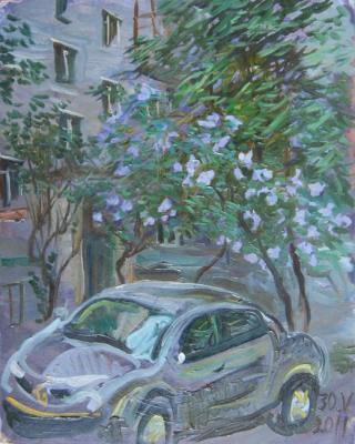 Lilac and car in the yard (Five-Story Building). Dobrovolskaya Gayane