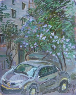 Lilac and car in the yard