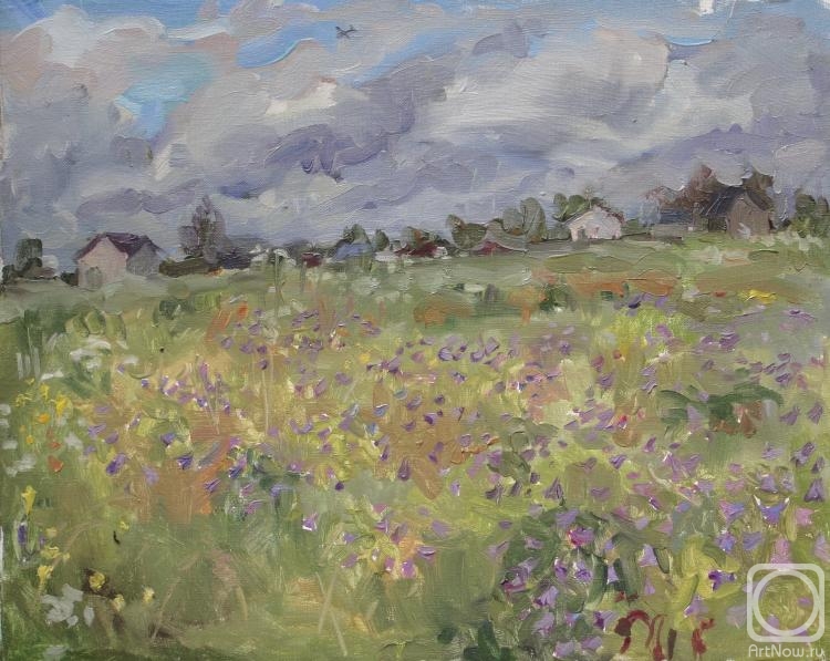 Blinkova Anzhela. Clouds over the field of bells
