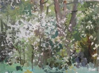 �������� ������ ����������. ����� ������