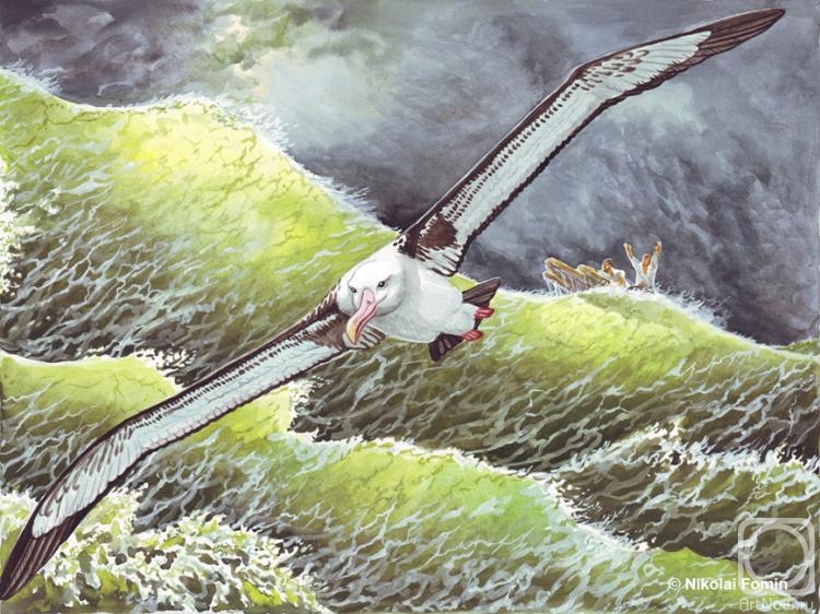 Fomin Nikolay. Albatross